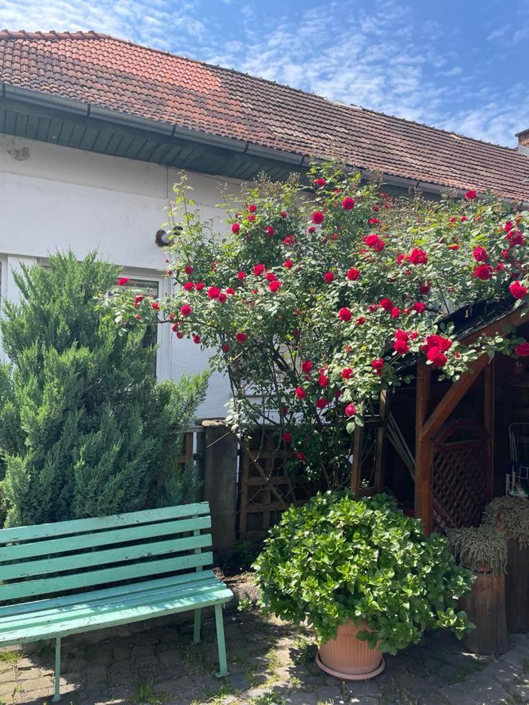 Góbé Vendégház Hotel Szováta Kültér fotó
