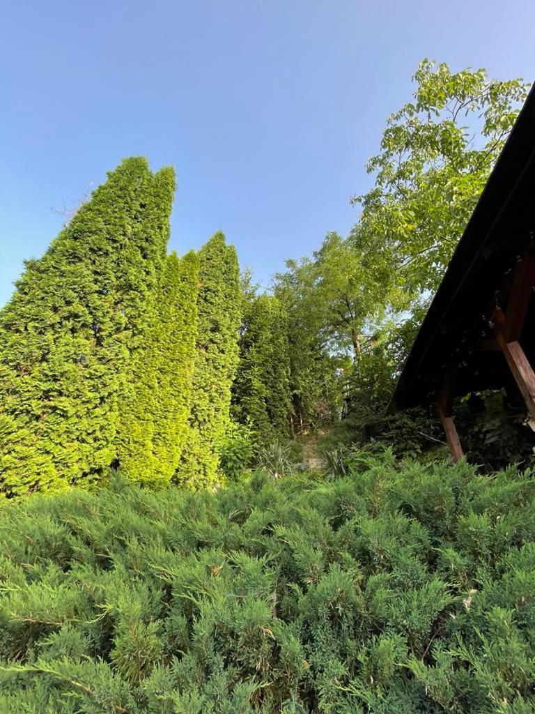 Góbé Vendégház Hotel Szováta Kültér fotó